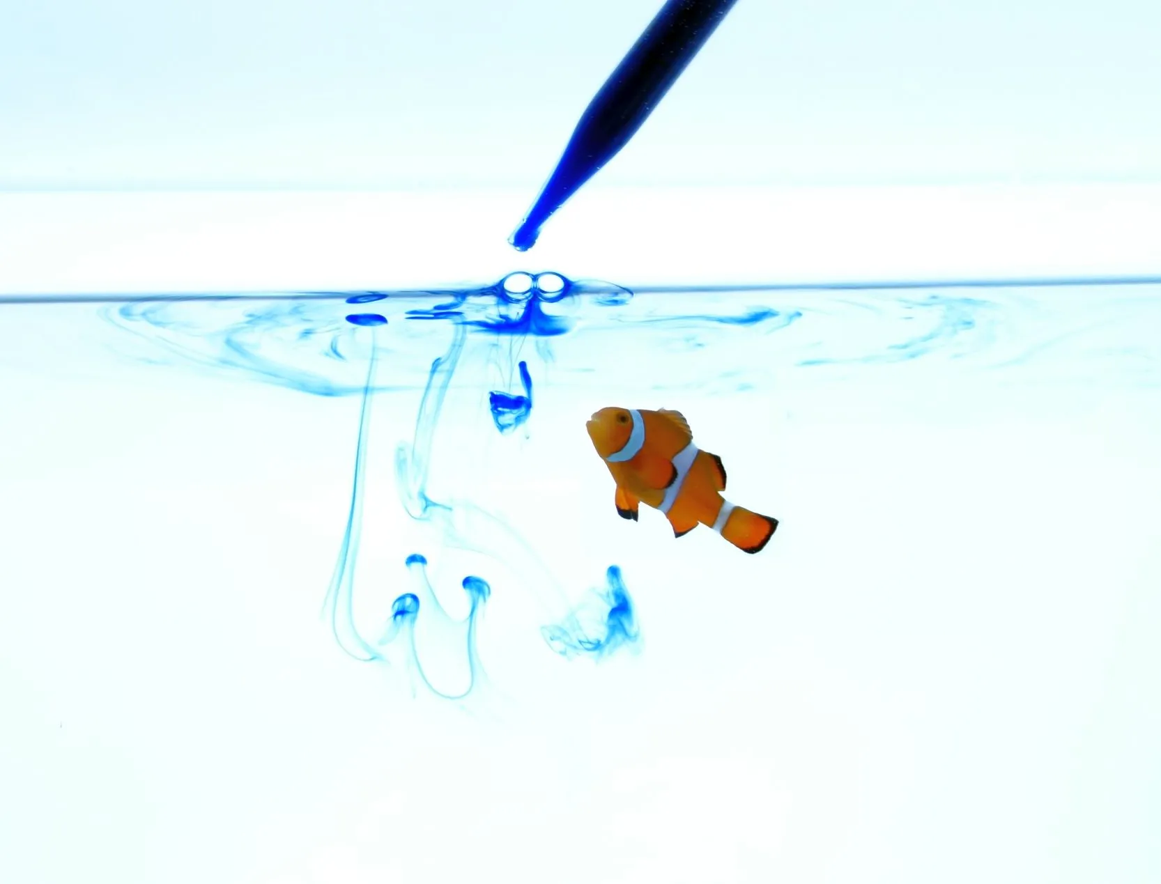 受託研究サービス事業