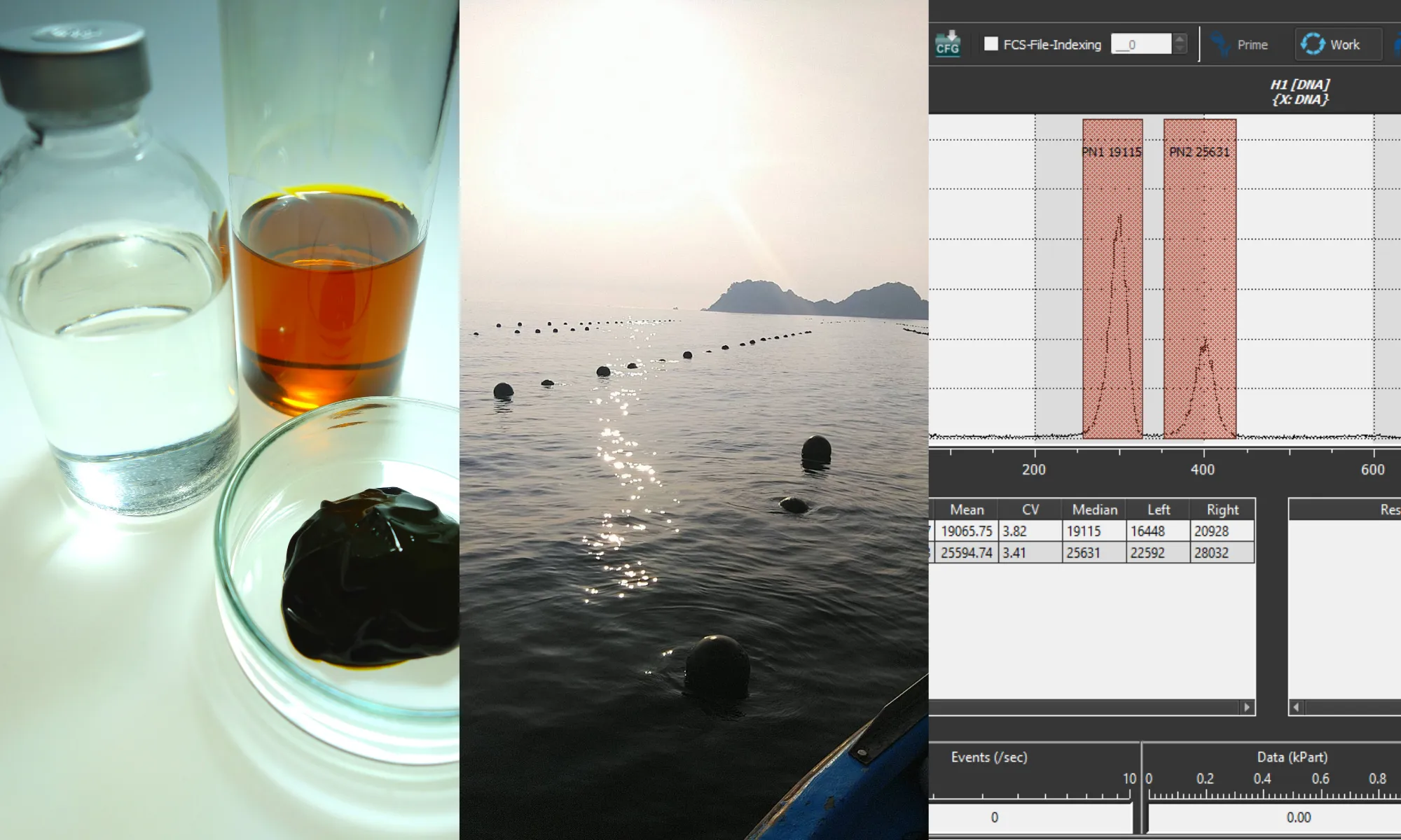 新たな取り組み