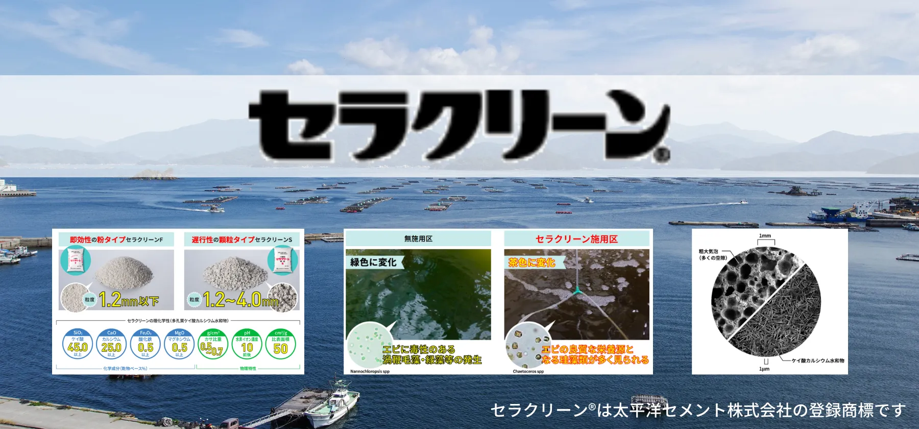 セラクリーン®